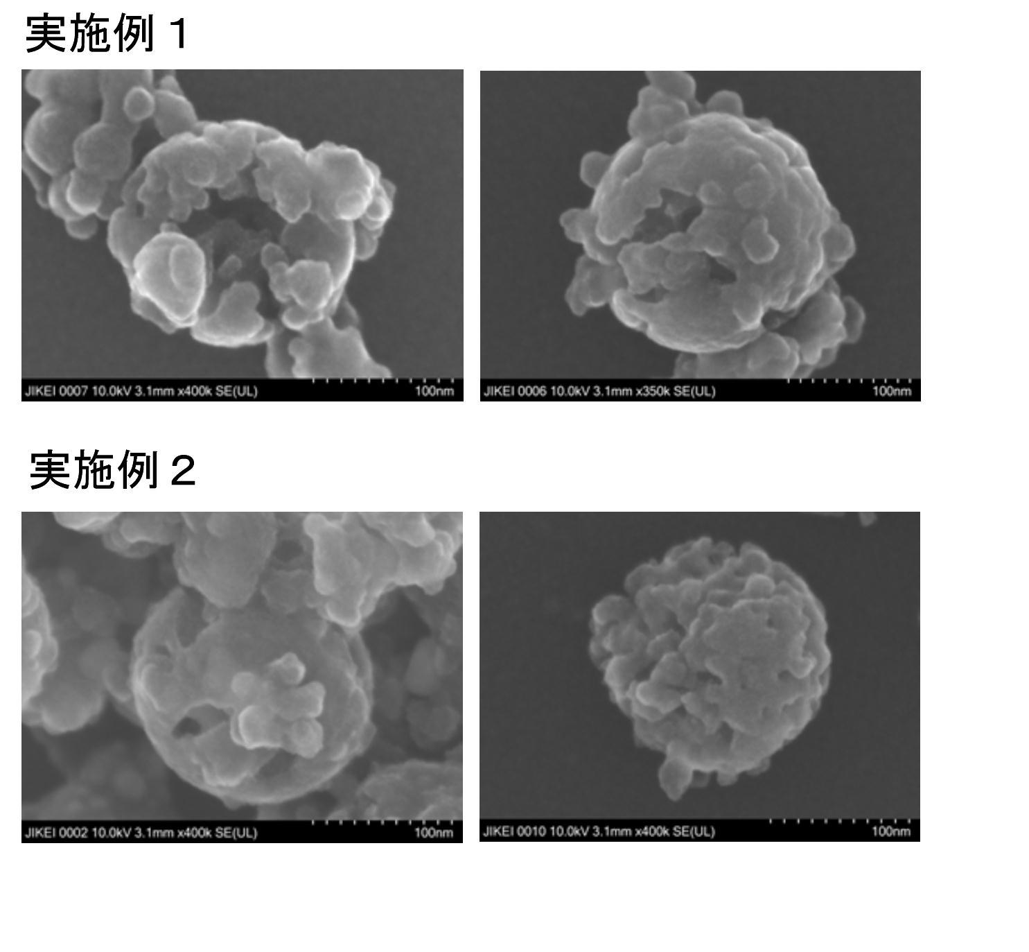 表面孔及び／又は微細突起を備えたシリコン微粒子の製造方法