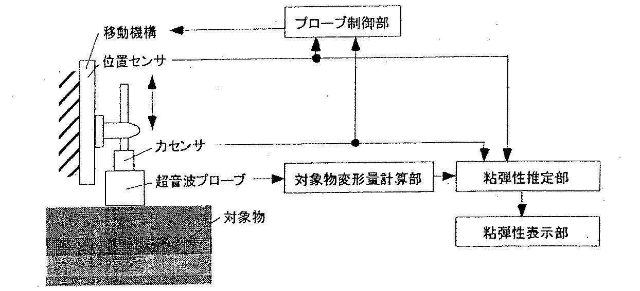 超音波技術で軟組織の粘弾性を高精度に測定