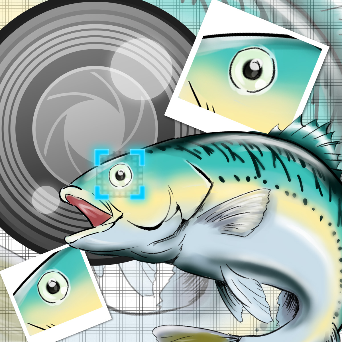 鮮魚センサー